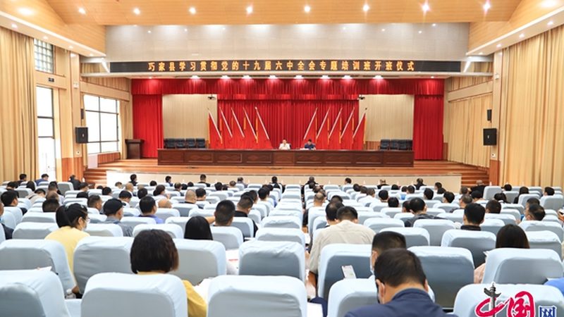 案例分析：以某机构课程体系为例